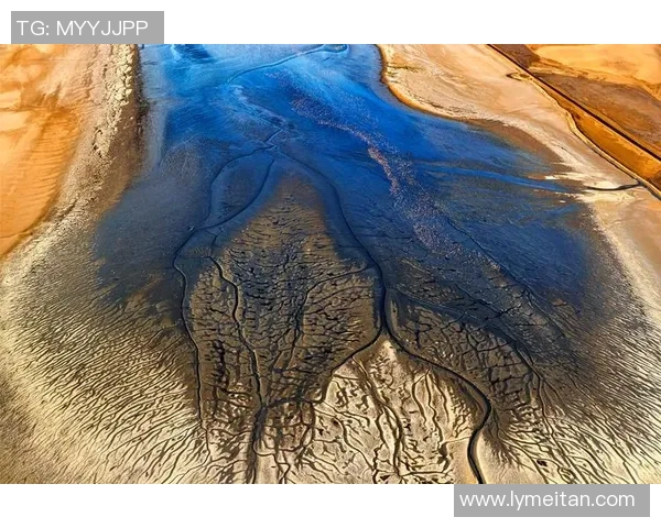 从高空一跃入水的艺术与力量探秘跳水运动背后的勇气与美学