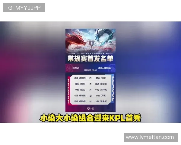 以Fly王者为核心探寻荣耀巅峰之路揭示电竞精神与团队力量