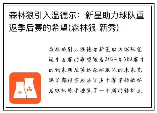 森林狼引入温德尔：新星助力球队重返季后赛的希望(森林狼 新秀)