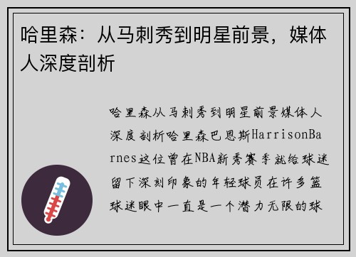 哈里森：从马刺秀到明星前景，媒体人深度剖析