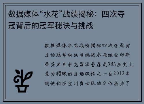 数据媒体“水花”战绩揭秘：四次夺冠背后的冠军秘诀与挑战