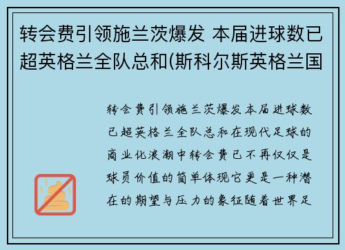 转会费引领施兰茨爆发 本届进球数已超英格兰全队总和(斯科尔斯英格兰国家队进球全记录)