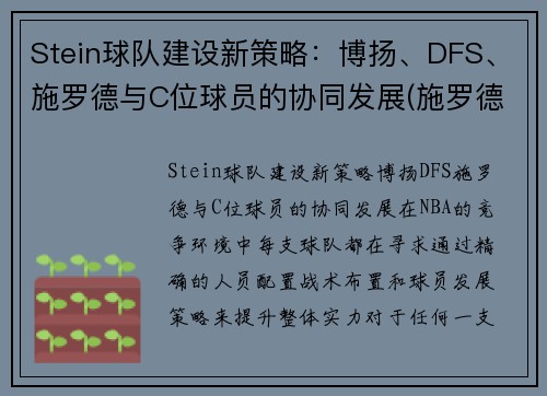 Stein球队建设新策略：博扬、DFS、施罗德与C位球员的协同发展(施罗德 cba)