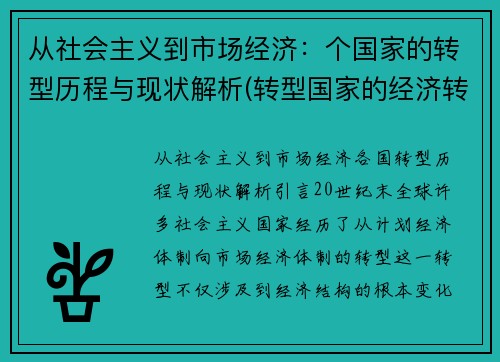 从社会主义到市场经济：个国家的转型历程与现状解析(转型国家的经济转型)