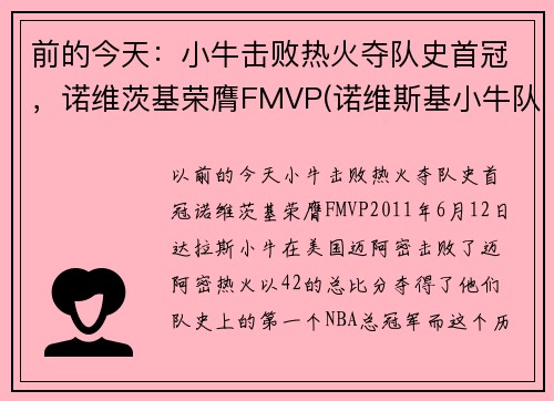 前的今天：小牛击败热火夺队史首冠，诺维茨基荣膺FMVP(诺维斯基小牛队友)