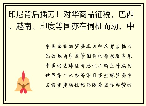 印尼背后插刀！对华商品征税，巴西、越南、印度等国亦在伺机而动，中国面临何种贸易压力？